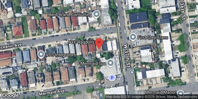 Aerial map of 3708 OCEANIC AVENUE, Brooklyn