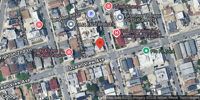 Aerial map of 321 OCEAN VIEW AVENUE, Brooklyn