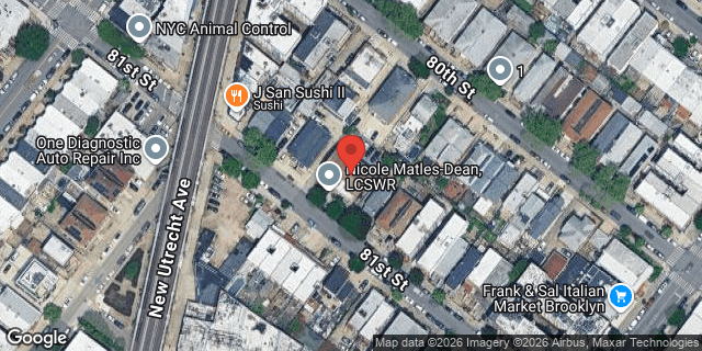 Aerial map of 1743 81 STREET, Brooklyn