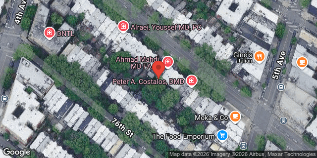 Aerial map of 454 BAY RIDGE PARKWAY, Brooklyn