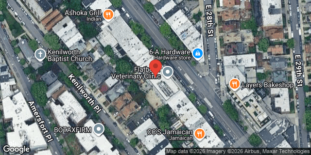 Aerial map of 1458 FLATBUSH AVENUE, Brooklyn