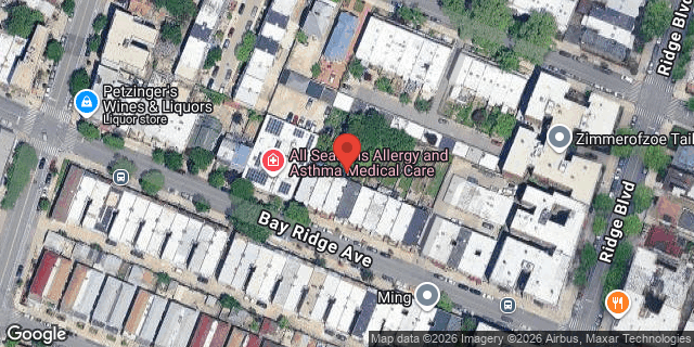 Aerial map of 163 BAY RIDGE AVENUE, Brooklyn