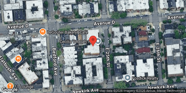 Aerial map of 410 EAST 25 STREET, Brooklyn