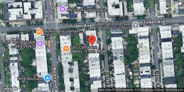 Aerial map of 166 EAST 31 STREET, Brooklyn