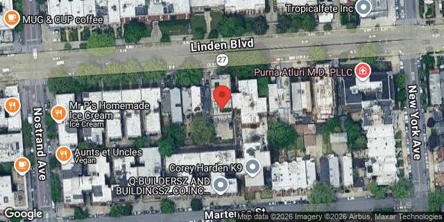 Aerial map of 290 LINDEN BLVD, Brooklyn