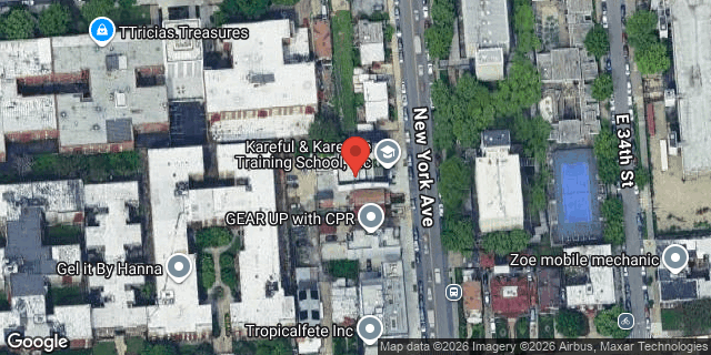 Aerial map of 828 NEW YORK AVENUE, Brooklyn
