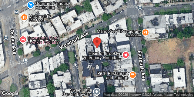Aerial map of 170 WOODRUFF AVENUE, Brooklyn