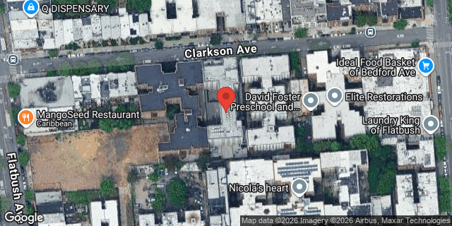 Aerial map of 50 CLARKSON AVENUE, Brooklyn