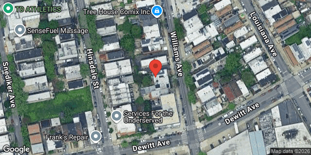 Aerial map of 766 WILLIAMS AVENUE, Brooklyn