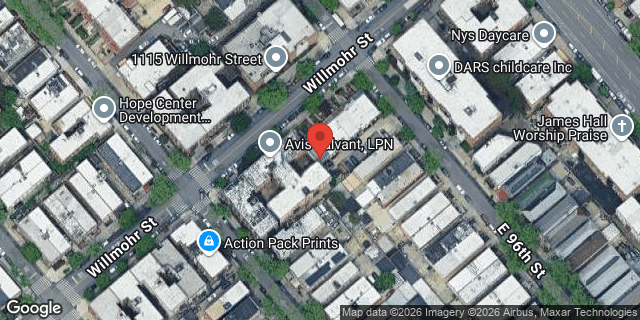 Aerial map of 1106 WILLMOHR STREET, Brooklyn