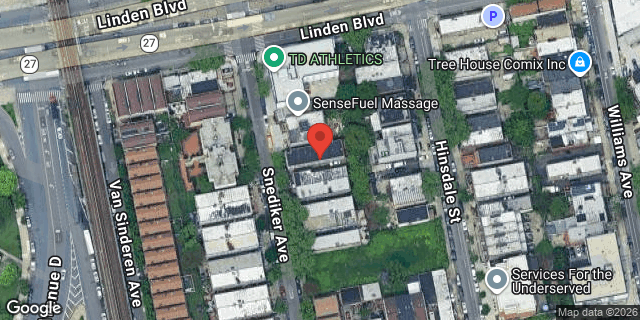 Aerial map of 725 SNEDIKER AVENUE, Brooklyn