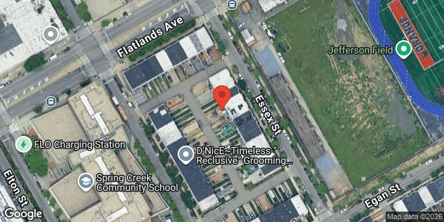 Aerial map of 1080 ESSEX STREET, Brooklyn