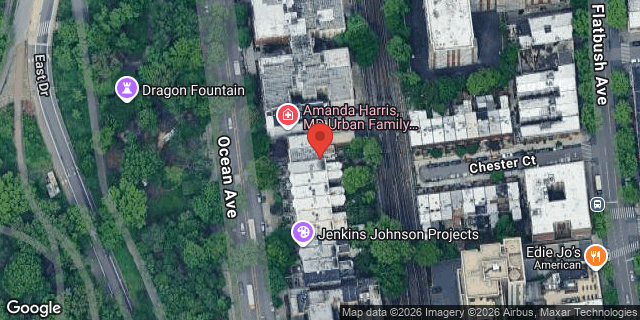 Aerial map of 191 OCEAN AVENUE, Brooklyn