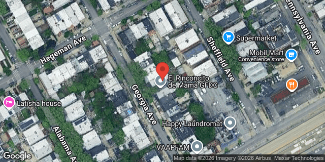 Aerial map of 737 GEORGIA AVENUE, Brooklyn