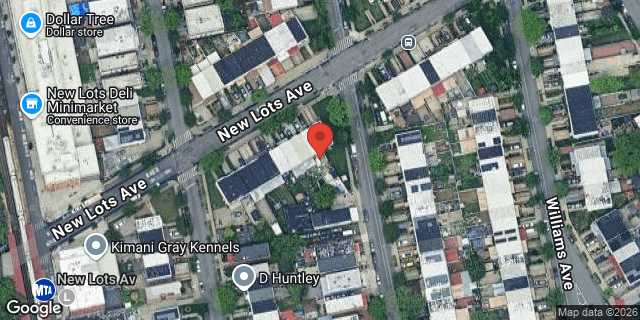 Aerial map of 214 NEW LOTS AVENUE, Brooklyn