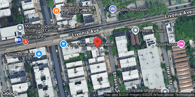 Aerial map of 94 LIVONIA AVENUE, Brooklyn