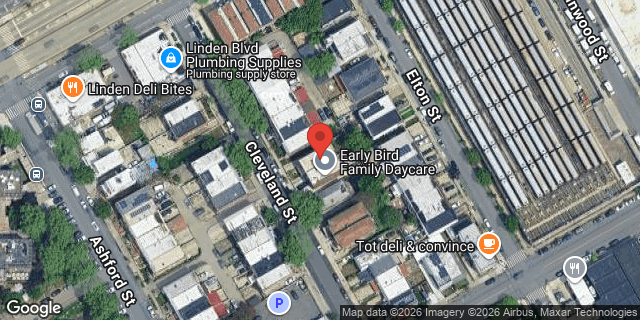 Aerial map of 917 CLEVELAND STREET, Brooklyn