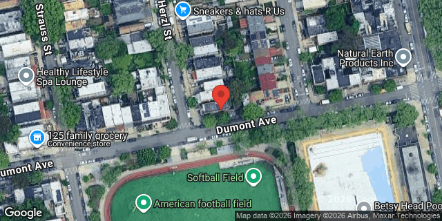 Aerial map of 259 HERZL STREET, Brooklyn