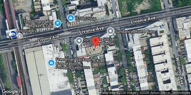Aerial map of 505 SNEDIKER AVENUE, Brooklyn