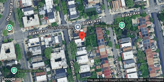 Aerial map of 163 GRAFTON STREET, Brooklyn
