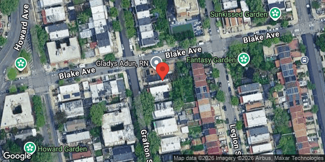 Aerial map of 161 GRAFTON STREET, Brooklyn
