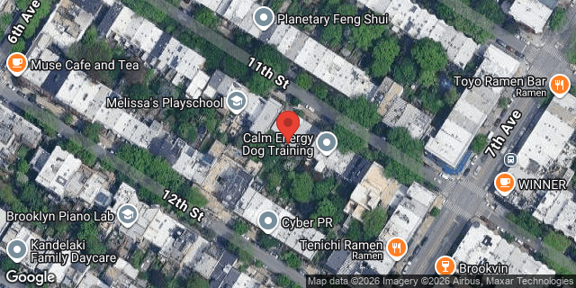 Aerial map of 460 11 STREET, Brooklyn
