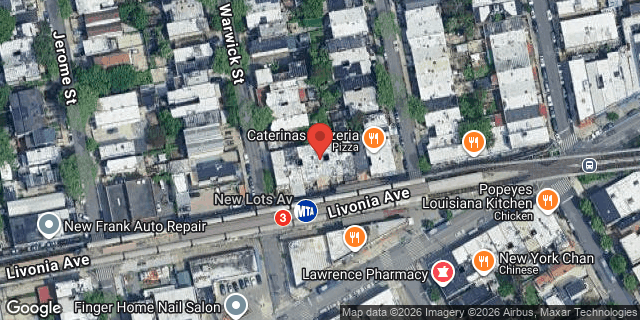 Aerial map of 897 LIVONIA AVENUE, Brooklyn