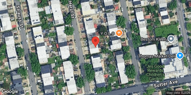 Aerial map of 117 HERZL STREET, Brooklyn
