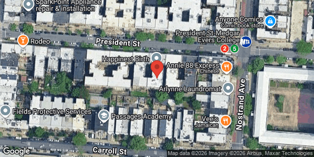 Aerial map of 1176 PRESIDENT STREET, Brooklyn