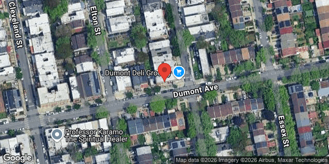 Aerial map of 690 LINWOOD STREET, Brooklyn