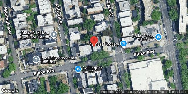 Aerial map of 1139 BLAKE AVENUE, Brooklyn