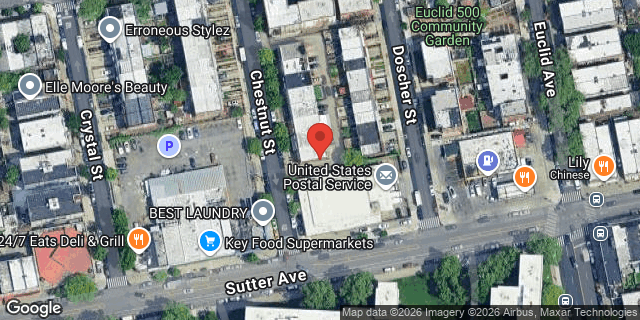 Aerial map of 561 CHESTNUT STREET, Brooklyn
