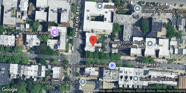 Aerial map of 169 NEW YORK AVENUE, Brooklyn
