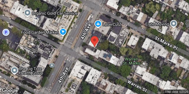 Aerial map of 93 4 AVENUE, Brooklyn