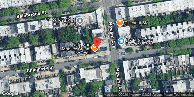 Aerial map of 194 HOWARD AVENUE, Brooklyn
