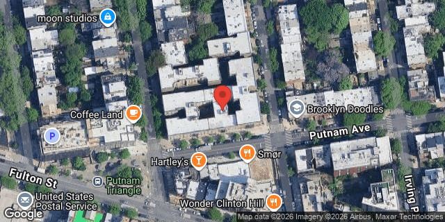 Aerial map of 29 PUTNAM AVENUE, Brooklyn