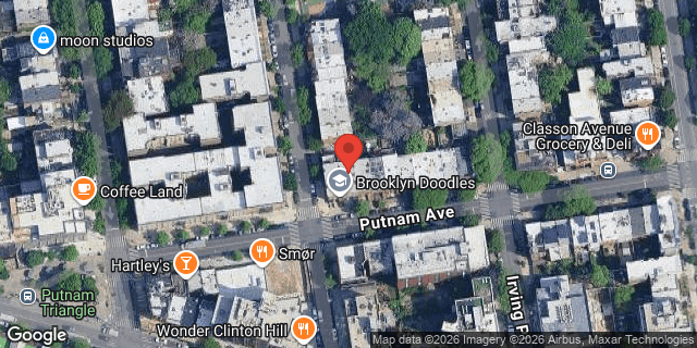 Aerial map of 41 PUTNAM AVENUE, Brooklyn