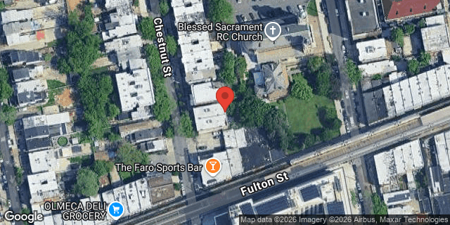Aerial map of 193 CHESTNUT STREET, Brooklyn