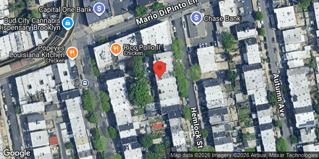 Aerial map of 262 HEMLOCK STREET, Brooklyn
