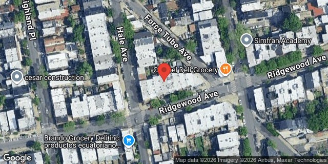 Aerial map of 225 RIDGEWOOD AVENUE, Brooklyn