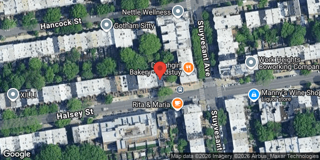 Aerial map of 503 HALSEY STREET, Brooklyn