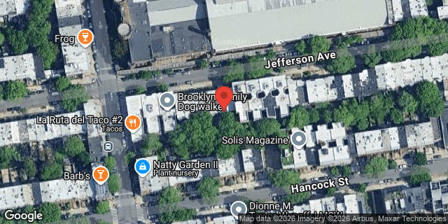 Aerial map of 510 JEFFERSON AVENUE, Brooklyn