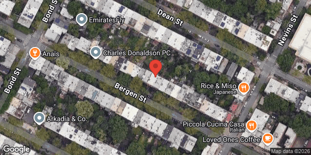 Aerial map of 219 BERGEN STREET, Brooklyn