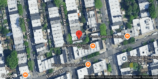 Aerial map of 219 LINCOLN AVENUE, Brooklyn