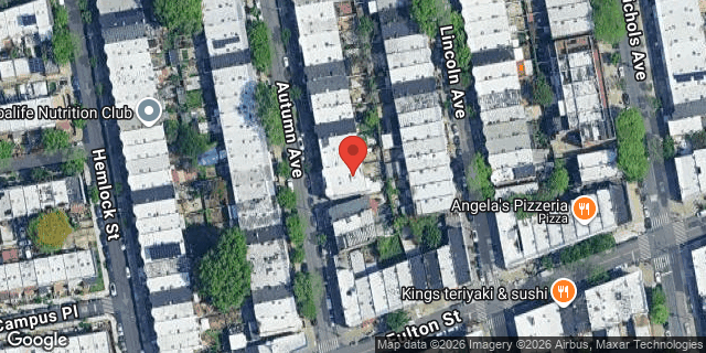 Aerial map of 223 AUTUMN AVENUE, Brooklyn
