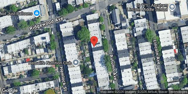 Aerial map of 196 AUTUMN AVENUE, Brooklyn