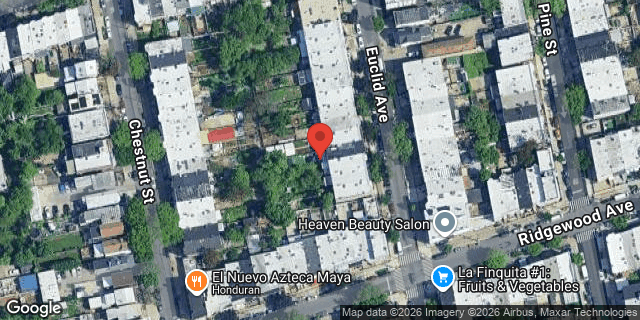 Aerial map of 130 EUCLID AVENUE, Brooklyn