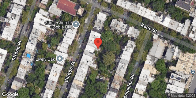 Aerial map of 317 CLINTON STREET, Brooklyn