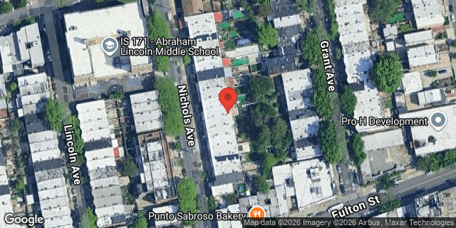 Aerial map of 217 NICHOLS AVENUE, Brooklyn