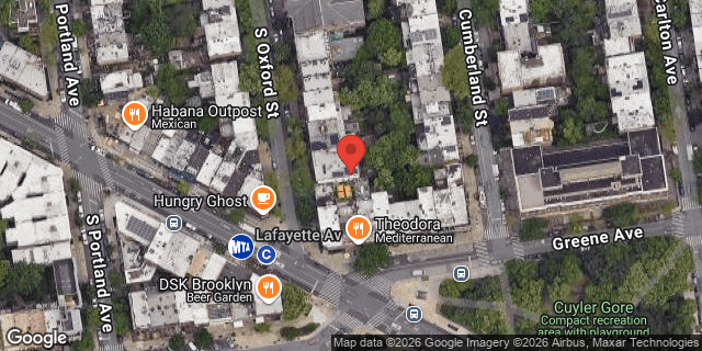 Aerial map of 113 SOUTH OXFORD STREET, Brooklyn